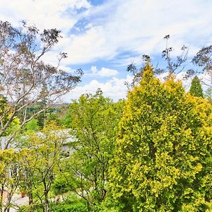 Studio Garden View